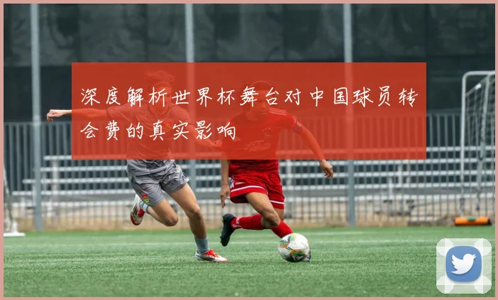 深度解析世界杯舞台对中国球员转会费的真实影响